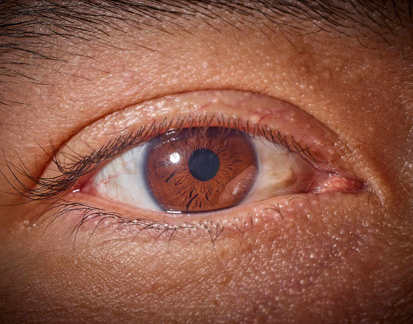 NickEyes__0001_EyeBalls_2022_anicaruspoem.jpg