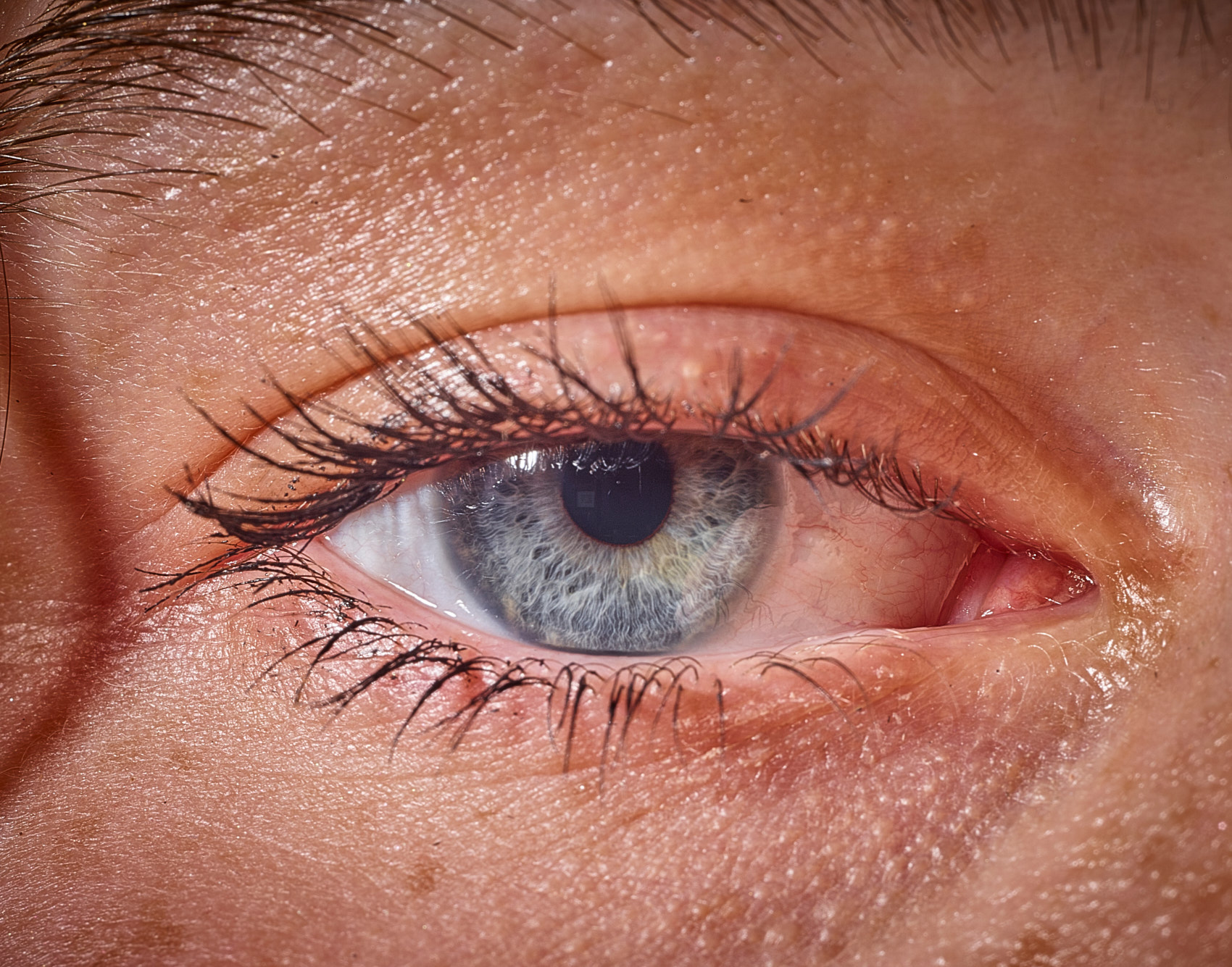 NickEyes__0035_EyeBalls_2022_annie_griffith.jpg